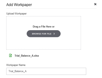 Screen capture showing an example of a default workpaper name.